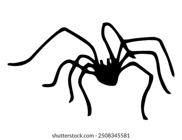 Spider silhouette. Black and white outline drawing for Halloween. Hand drawn isolated graphic clipart. Line illustration of creepy insect for decor and invitation design. Simple Doodle style.
