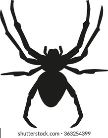 Spider silhouette with details