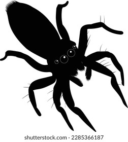 spider silhouette with hairy legs