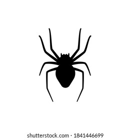 Spider silhouette icon. Halloween decoration or tattoo template. Simple widow outline sketch. Horror, fear and creepy cartoon art concept of arachnid or tarantula. Flat vector illustration.