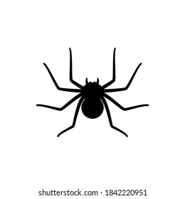 Icono de la silueta araña. Decoración de Halloween o plantilla de tatuajes. Esbozo simple del contorno de la ventana. Horror, miedo y el espeluznante concepto de arte de caricatura de arachnido o tarántula. Ilustración vectorial plana.