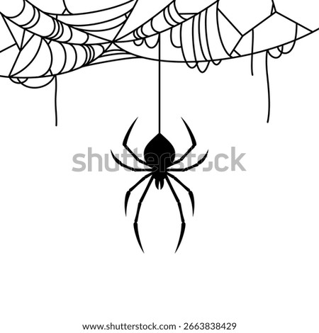 Spider silhouette icon hanging from thread. Vector illustration. Happy Halloween concept poster. Black widow in creepy web. Cobweb and bug banner frame isolated on white background. Arachnid phobia