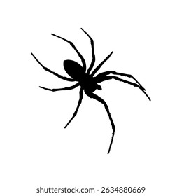 Spider silhouette icon vector flat design on white background