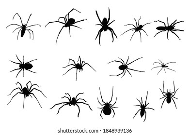 spider silhouette icon vector set for logo