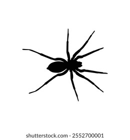 Spider silhouette illustration on white background. Spider Halloween illustration. Spider Halloween line art vector