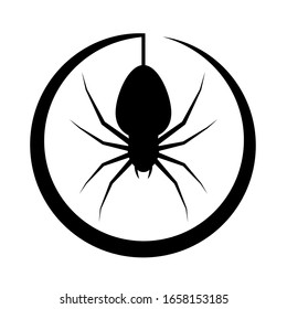 Spider silhouette isolated on white background. Spider logo template. Spider icon. Vector Illustration