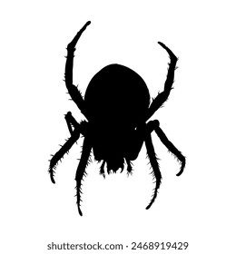 silueta de araña aislada - Ilustración vectorial	