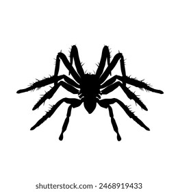 spider silhouette isolated - vector illustration	