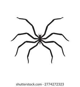 Spider silhouette with long legs vector illustration