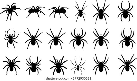 Spider Silhouette Mega Collection Featuring Realistic Arachnid Shapes for Halloween Nature Wildlife and Decorative Designs