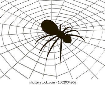 Spider silhouette on the web. View isometric. Vector illustration.