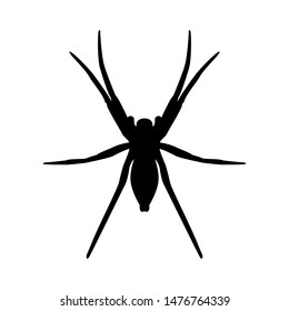 Spider silhouette on a white background, for design. Vector.