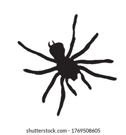 Spider silhouette on a white background. Vector Illustration EPS10