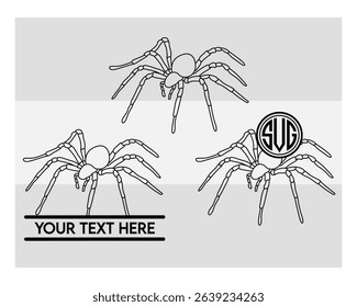 Spider, Spider Silhouette, Tarantula, Animal, Recluse spider, Spider Monogram, Split Monogram, Circle Monogram, Vector, Silhouette, outline,
