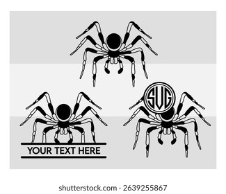 Spider, Spider Silhouette, Tarantula, Animal, Recluse spider, Vector, Silhouette, Eps, Spider Monogram, Split Monogram, Circle Monogram,