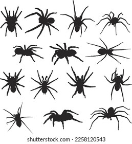 Spider Silhouette Vector Art Icons.