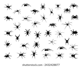Spider silhouette vector art white background