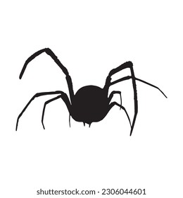spider silhouette vector black color on white background