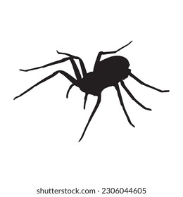 spider silhouette vector black color on white background