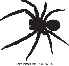 Spider silhouette vector black and white