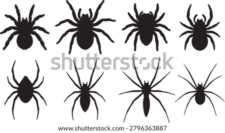 Spider silhouette vector collection with different arachnid shapes and black spider poses isolated on white background