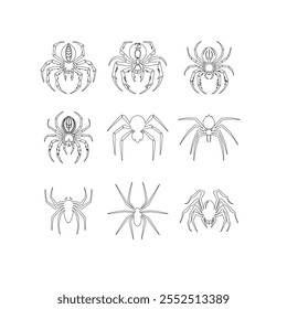 spider silhouette, vector design, illustrator