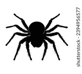 Spider silhouette. Spider vector illustration.