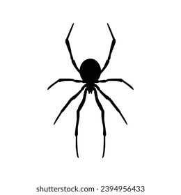 Spider silhouette. Spider vector illustration.