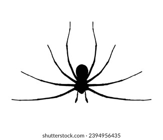Spider silhouette. Spider vector illustration.