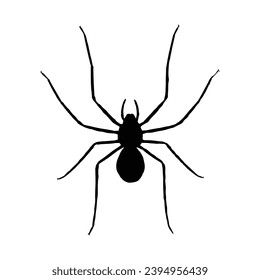 Spider silhouette. Spider vector illustration.