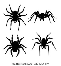 Spider silhouette. Spider vector illustration.