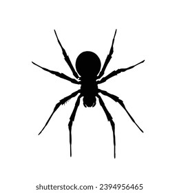 Spider silhouette. Spider vector illustration.