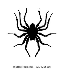 Spider silhouette. Spider vector illustration.