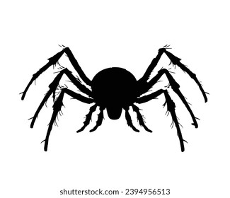 Spider silhouette. Spider vector illustration.