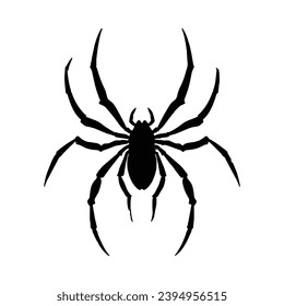 Spider silhouette. Spider vector illustration.