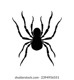 Spider silhouette. Spider vector illustration.