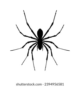 Spider silhouette. Spider vector illustration.