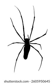 Spider silhouette - vector illustration.