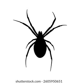 Spider silhouette - vector illustration.