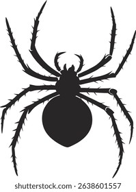 Spider silhouette. Spider vector illustration.