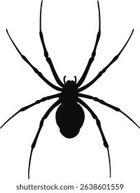Spider silhouette. Spider vector illustration.