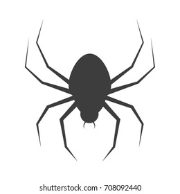 Spider silhouette. Vector illustration, a flat style design. Isolated on a white background.