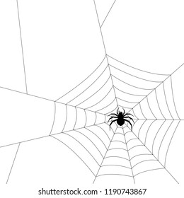 Spider silhouette vector. Insect concept in black and white.