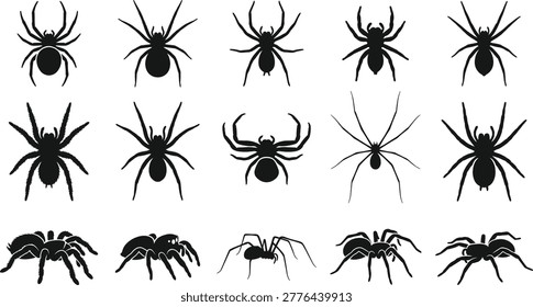 Spider silhouettes collection, arachnid insect icons, various spider species shapes, creepy crawly elements, tarantula and black widow isolated silhouette icons.