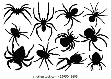 Spider silhouettes set isolated flat vector illustration on white background