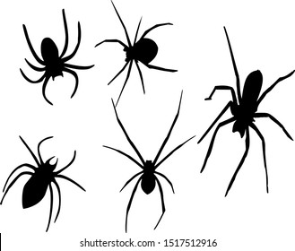 spider silhouettes vector, with 5 different spiders