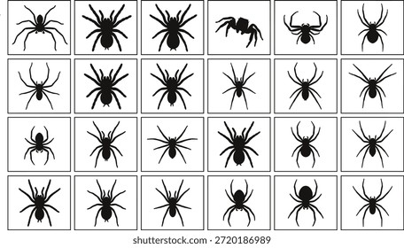 Ilustración vectorial de siluetas de araña, Formas de araña negra en cuadrados blancos, diseño espeluznante, Clipart de insectos editable, rejilla de variación de postura, tema de entomología, concepto de rompecabezas visual, educación de biología, Gráficos para video arácnidos