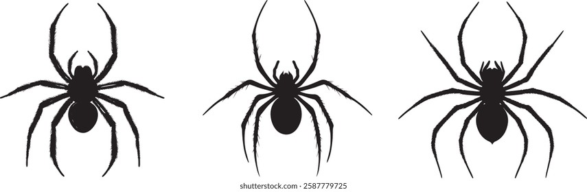 Spider Silhouettes Vector: Set of Three Black Spiders on White