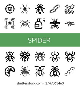 spider simple icons set. Contains such icons as Anti bug, Bug, Mosquito, Spider, Earwig, Insecticide, Centipede, Grasshopper, Weevil, Larva, can be used for web, mobile and logo