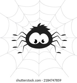 A spider sits on a spider web. Vector illustration on a white background.